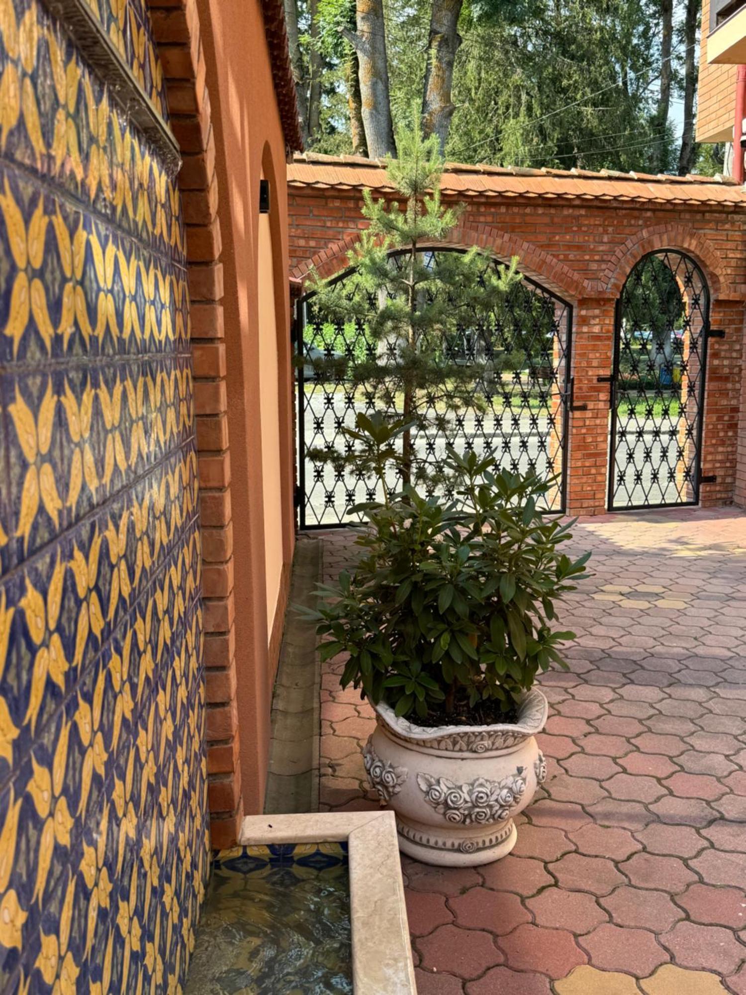 Vila Luminita Singeorz-Bai Exterior photo