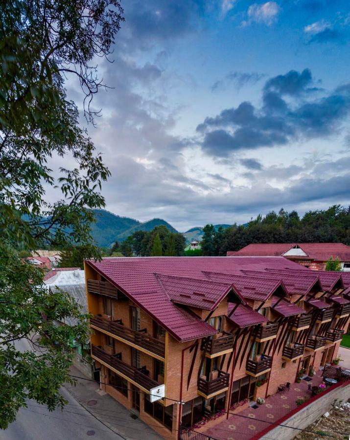 Vila Luminita Singeorz-Bai Exterior photo